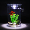Plastic creative goldfish small aquarium fish tank